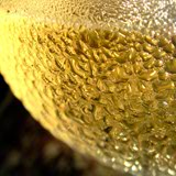 White Txakoli Presentation