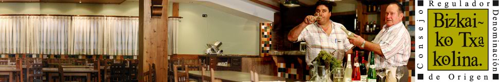 Tasting experience of Txakoli