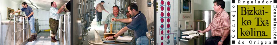 Fermentation process in Bizkaia