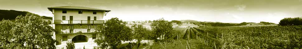 Panoramic view of the farmhouse and vineyards