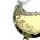 Presentación del Txakoli Blanco