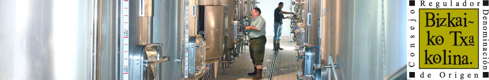 Fermentación depósito 2