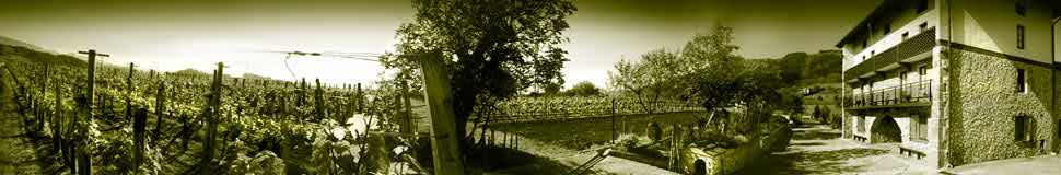 Viñedos de la familia Uriarte