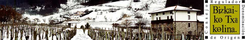 Viñedo 3