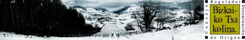 Viñedo 2