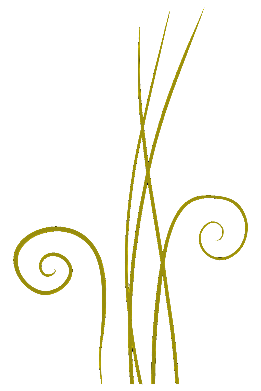 Decoración vegetal